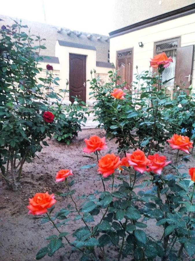 Shodlik Guest House 希瓦 外观 照片